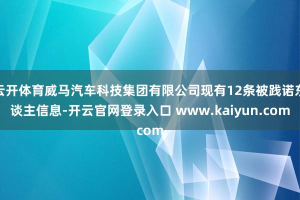 云开体育威马汽车科技集团有限公司现有12条被践诺东谈主信息-开云官网登录入口 www.kaiyun.com