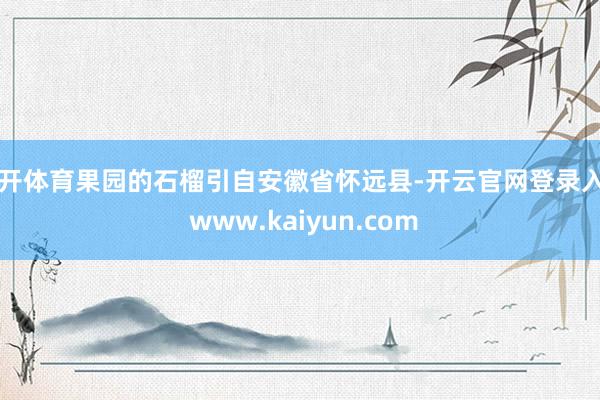 云开体育果园的石榴引自安徽省怀远县-开云官网登录入口 www.kaiyun.com