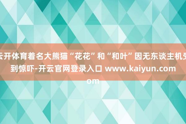 云开体育着名大熊猫“花花”和“和叶”因无东谈主机受到惊吓-开云官网登录入口 www.kaiyun.com